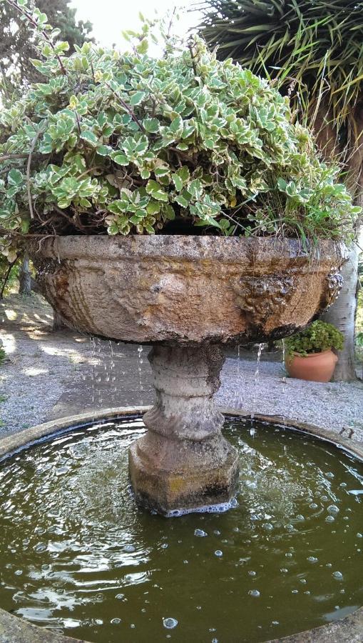 Villa Rural El Poleo D&R Con Piscina Climatizada Privada Y Solarium Pico de Viento المظهر الخارجي الصورة